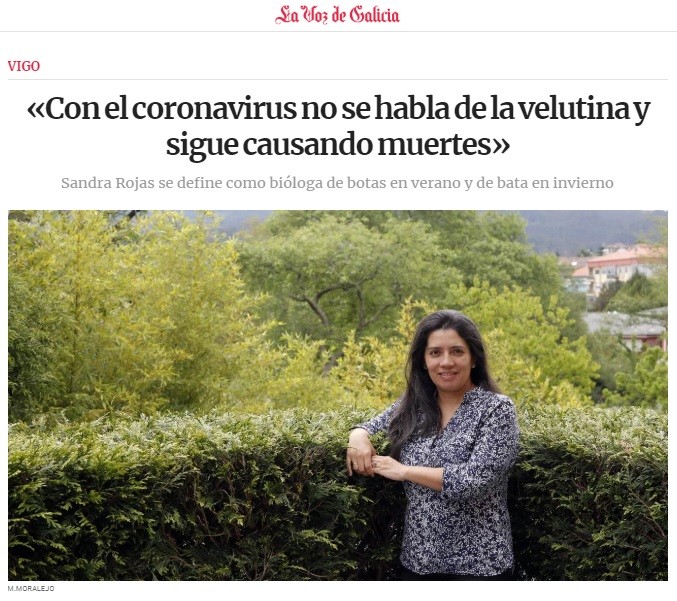 «With the coronavirus, velutina is not mentioned and continues to cause deaths»